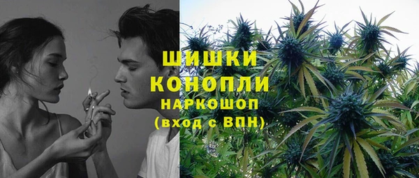 прущие грибы Алзамай