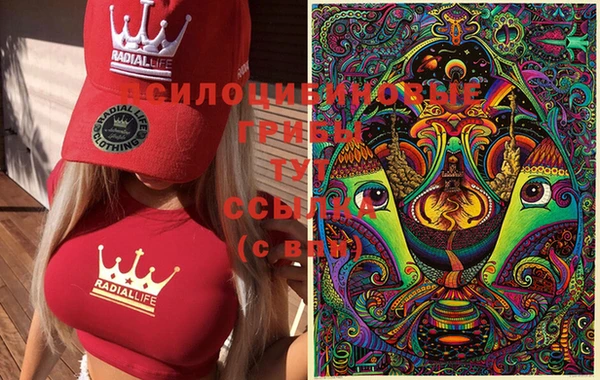 марки nbome Гусиноозёрск
