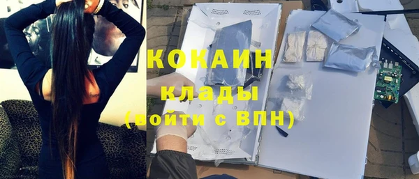 прущие грибы Алзамай