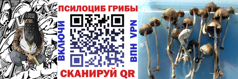 Галлюциногенные грибы мицелий  Геленджик 
