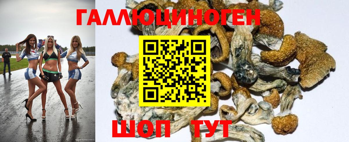 Галлюциногенные грибы Magic Shrooms  Вход с VPN  Геленджик 