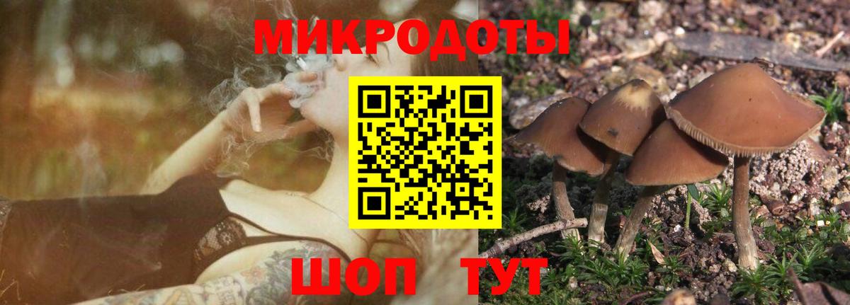 Галлюциногенные грибы прущие грибы Геленджик